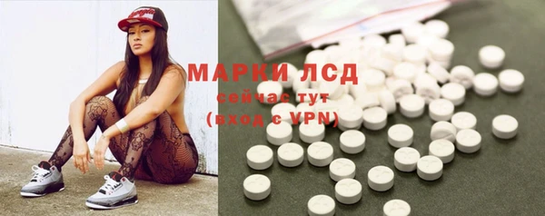 стафф Кущёвская