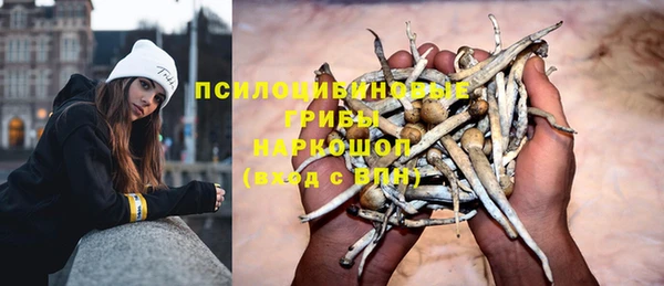 стафф Кущёвская